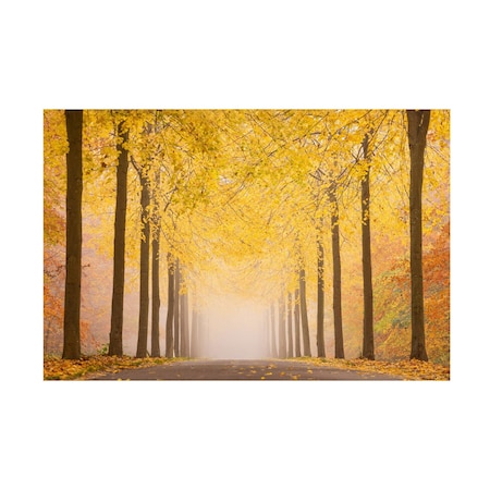Keller  'Autumn Road' Canvas Art, 12x19